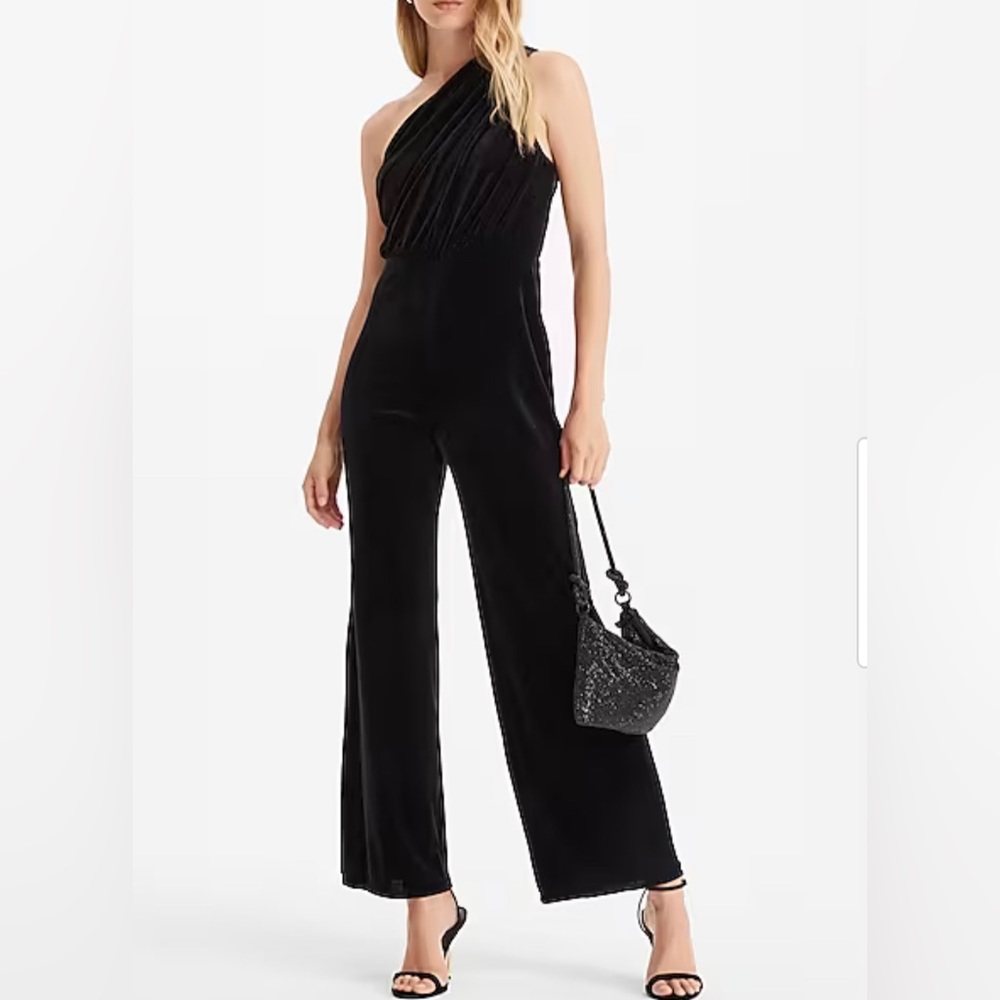 Express Velvet One Shoulder Ruched Wide Leg Jumpsuit